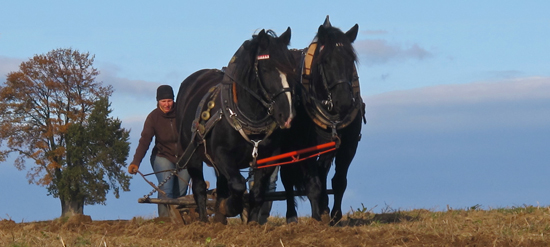 Hlavním smyslem biodynamického zemědělství je pečovat o zdraví planety Země a všech zde žijících organismů.