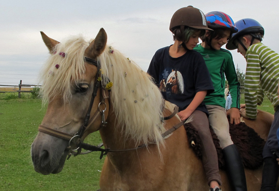 Koně na farmě Wegwartehof si každý rok užívají přítomnost dětí – a samozřejmě i naopak!