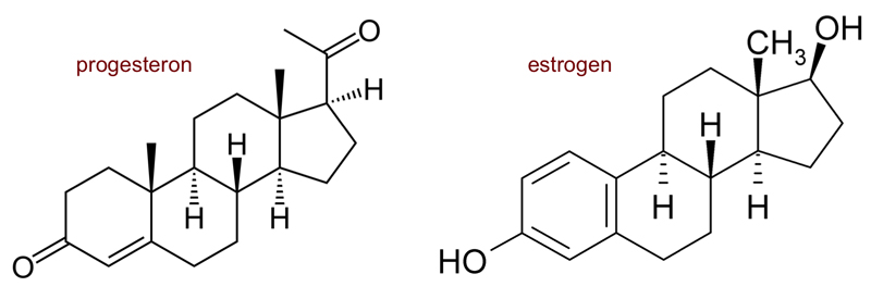 Progesteron a estrogen - ženské hormony