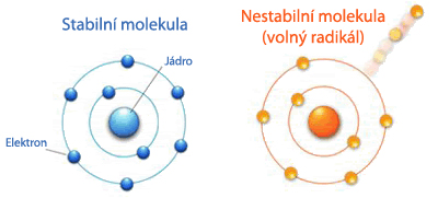 Stabilní a nestabilní molekuly - volné radikály