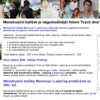 Web pro ženy Kalíšek.cz v roce 2009